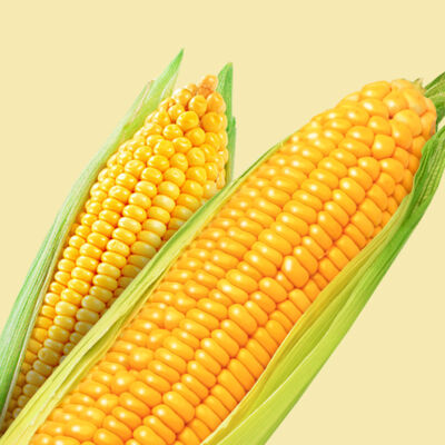 Corn Oil