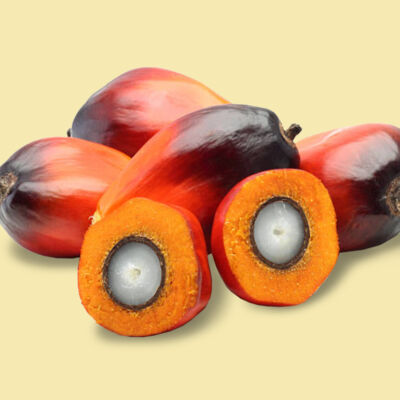 Palm Oil